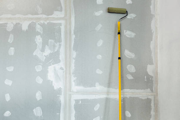 Best Mold Remediation for Healthcare Facilities  in Randallstown, MD